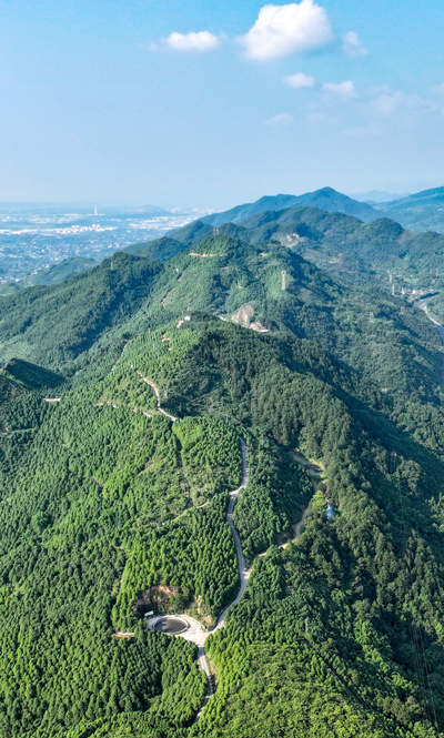 四川广安“绿色银行”让山区群众喜获生态红利【6】.jpg