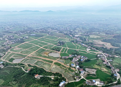 四川华蓥：撂荒地变粮仓[4].jpg