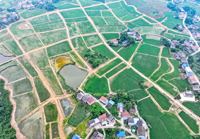 四川华蓥：撂荒地变粮仓[6].jpg